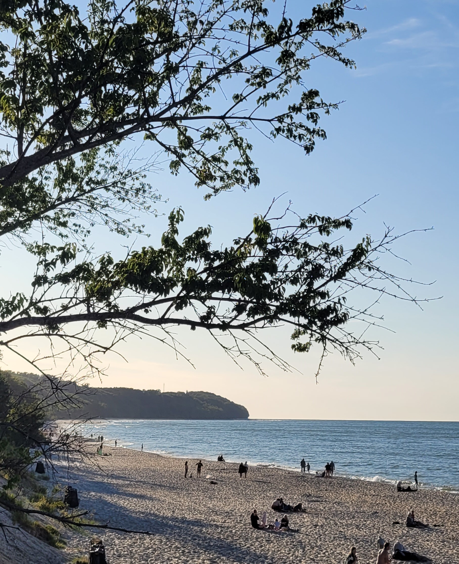 Plaża z widokiem na klif